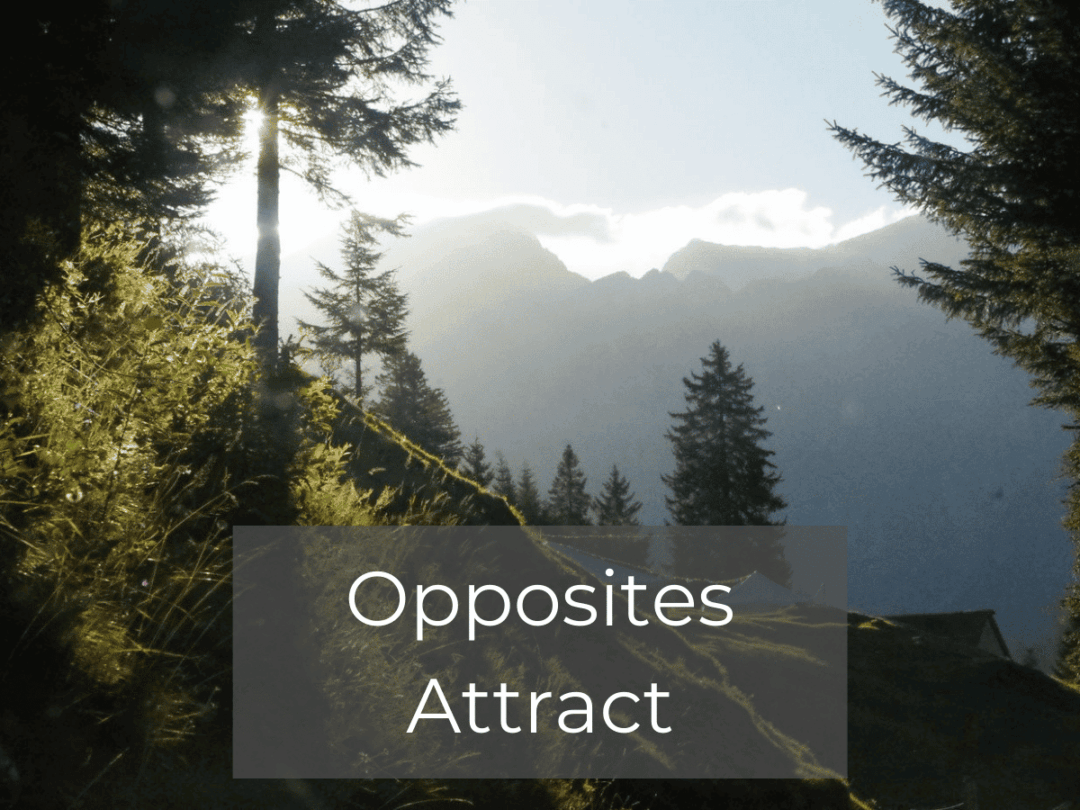 Opposites Attract – Audio Recordings